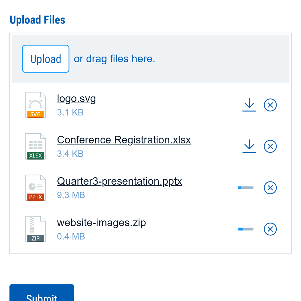 The file upload field showing custom file icons. The image includes an svg, Excell, PowerPoint, and zip files.